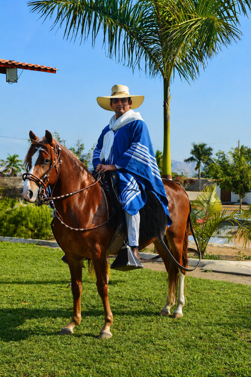 Vista de la Hacienda